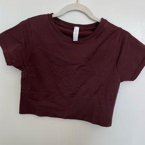OFFLINE by Aerie Sidewalk Seamless Cropped T-Shirt
